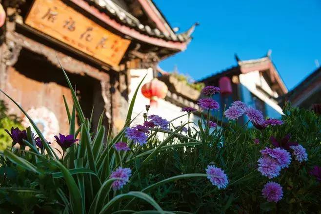 云南昆大丽版纳双飞10日游多少钱,云南6天5晚昆大丽双人双飞游