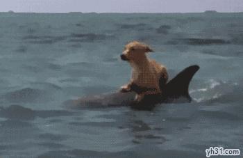 绂忓缓姘村ご娲楁荡妗戞嬁,绂忓缓妗戞嬁