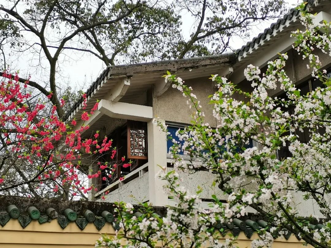 重庆北碚清明节踏青好去处,重庆巴南踏青一日游最佳攻略