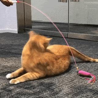 软骨素对全身疼痛有用吗,软骨素对膝关节疼痛有什么好处