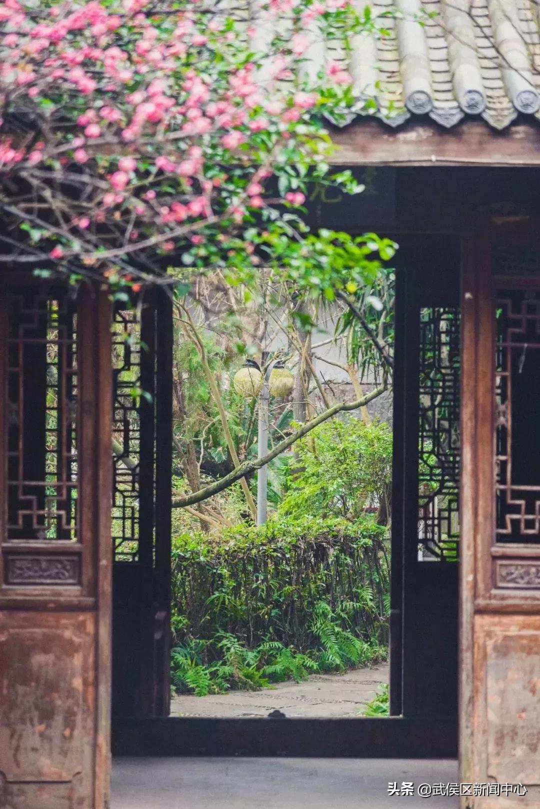 成都旅游景点免费门票,成都周边好玩的地方景点免费