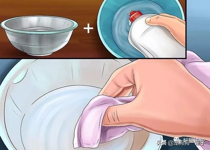 狗狗8个月还是乱拉乱尿怎么办,狗狗出了围栏就乱尿咋回事