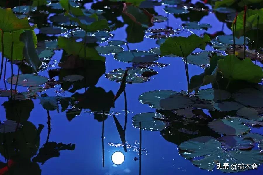 夏夜诗词佳句:松间小槛接波平,月澹烟沉暑气清