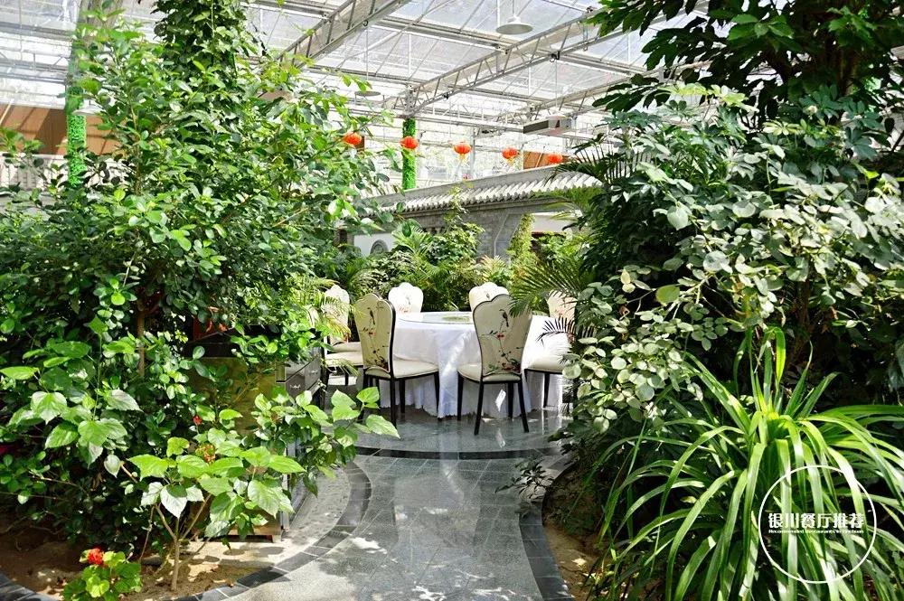 银川清真的农家乐烤全羊哪家好吃,银川烤全羊的海鲜自助推荐