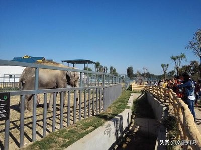 山东德州动植物园旅游区,德州市动植物园视频