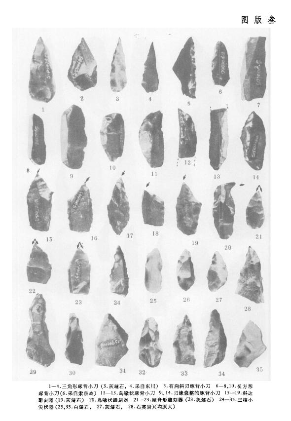 晋城下川文化遗址,下川遗址