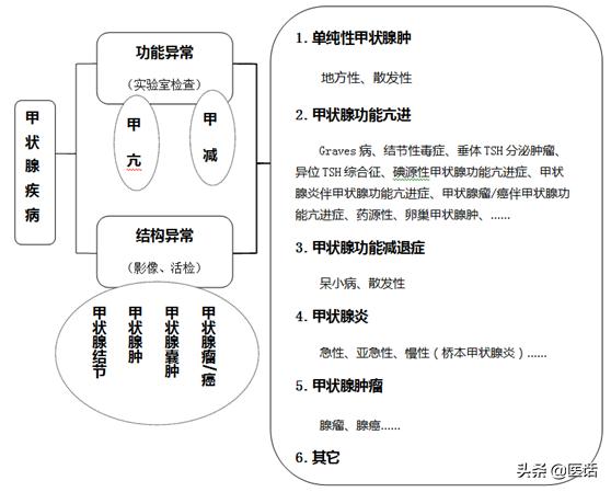 甲状腺疾病诊疗1000例,甲状腺癌症能病退的10大重病