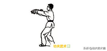 永春民间白鹤拳实战技法,咏春白鹤拳七步三战教学视频