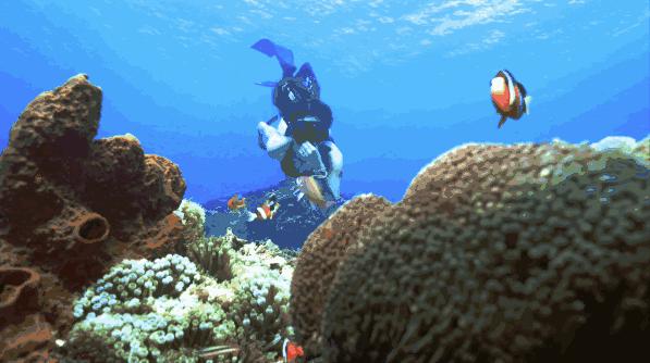 京津冀周边玩三天左右,京津冀十月旅游免费景区