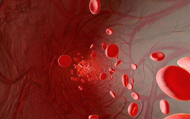 地中海贫血有没有好的食疗方法,地中海贫血输血指征及原则