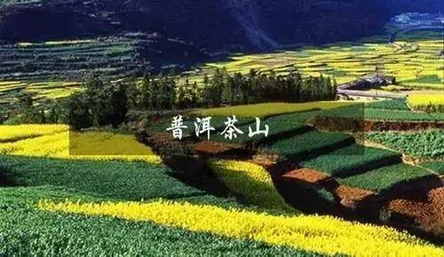 1月带娃云南小众旅游,云南小众旅游2日游