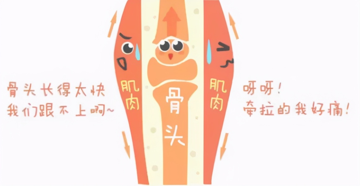 12岁到13岁的孩子腿痛怎么回事,13岁孩子腿疼痛警惕四种病