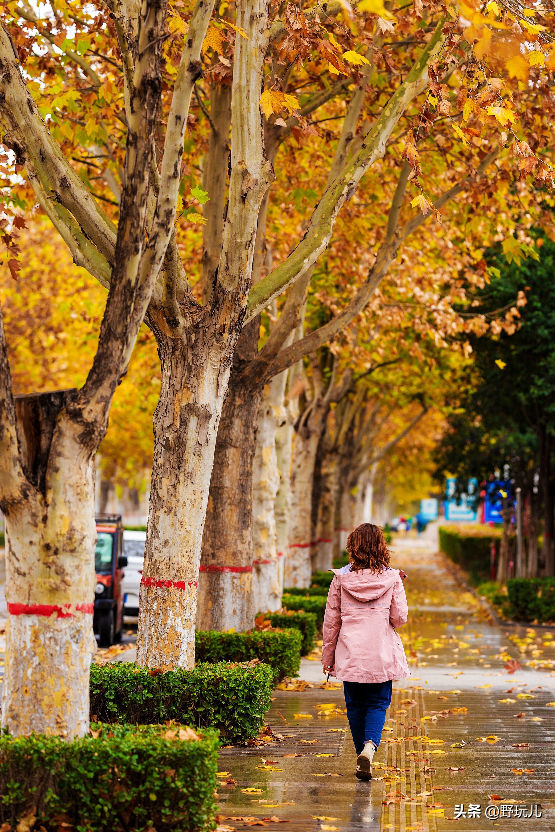 既时尚又实用的冲锋衣,简约而不简单的冲锋衣奢潮
