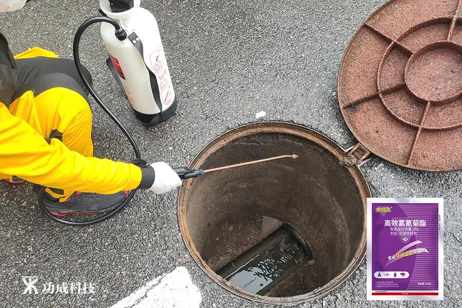 卫生间小虫子蛾蠓怎么来的,卫生间有小虫蛾蚋怎么治