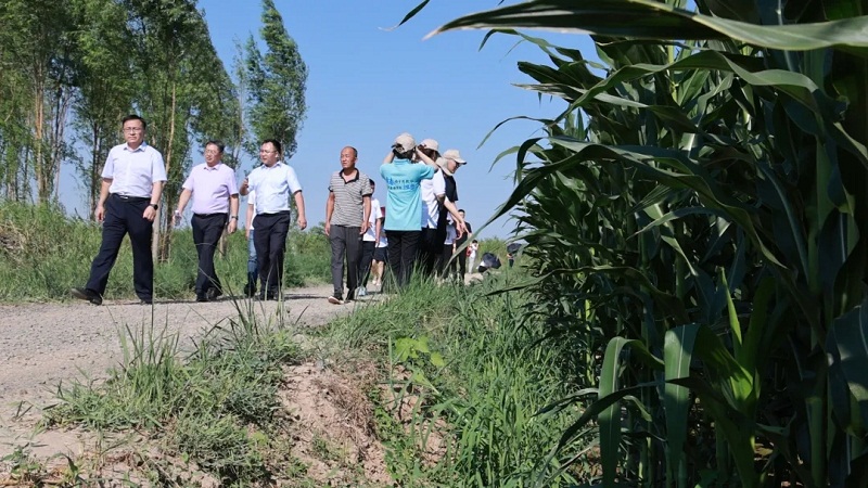 金智惠民学子下乡活动方案,建设银行金智惠民活动持续开展