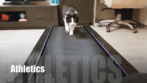 <html>
<head><title>502BadGateway</title></head>
<body>
<center><h1>502BadGateway</h1></center>
<hr><center>nginx</center>
</body>
</html>
<!--apaddingtodisableMSIEandChromefriendlyerrorpage-->
<!--apaddingtodisableMSIEandChromefriendlyerrorpage-->
<!--apaddingtodisableMSIEandChromefriendlyerrorpage-->
<!--apaddingtodisableMSIEandChromefriendlyerrorpage-->
<!--apaddingtodisableMSIEandChromefriendlyerrorpage-->
<!--apaddingtodisableMSIEandChromefriendlyerrorpage-->
