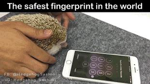 让你心动的搞笑图片,搞笑gif笑死人的动图