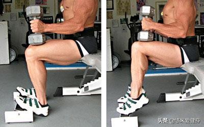 新手如何用一对哑铃练到全身,1对哑铃7个动作帮你训练全身肌肉