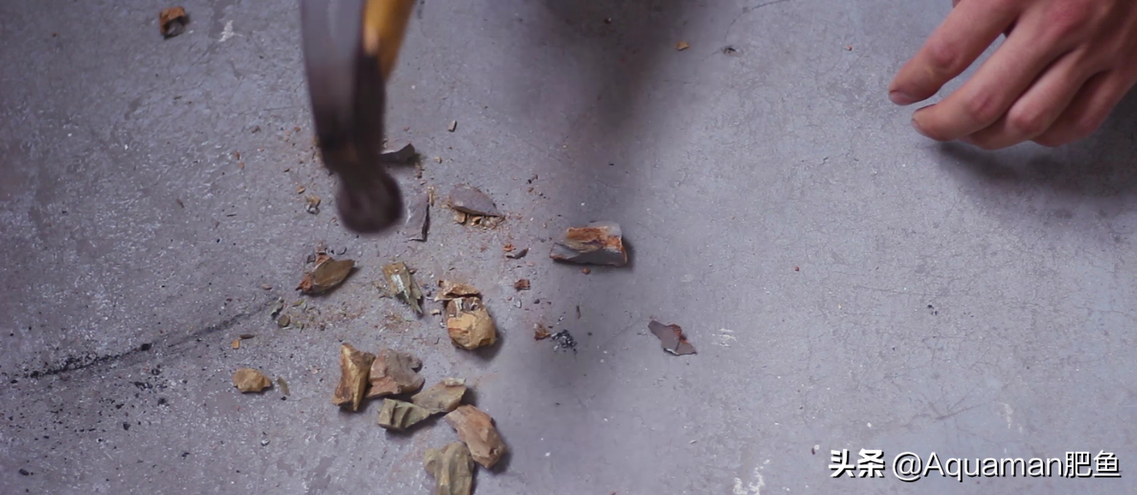 怎么低成本做个鱼缸,不用二氧化碳低成本的水草缸