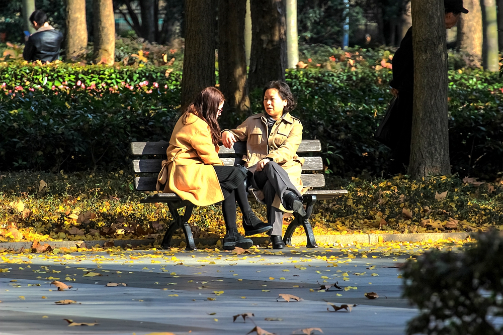 行走老上海全攻略,上海原法租界徒步一日游