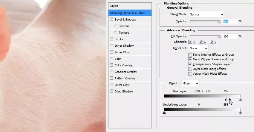 ps花仙子合成教程,ps合成狗狗教程