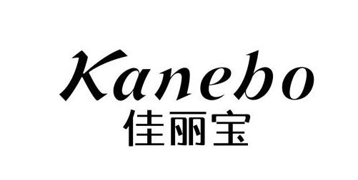 日本十大护肤品排名大全 (日本护肤品最新排行榜前十名品牌)