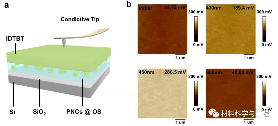 福州大学：首次实现一种无铅双钙钛矿纳米晶光存储器