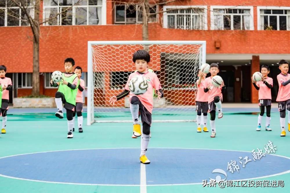 杠杠的！锦江的这些高质量公共服务，你感受到了吗？