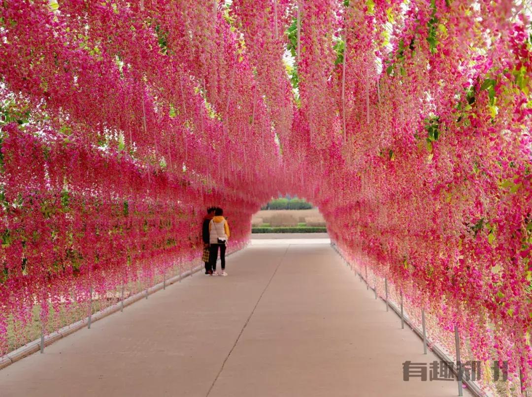 郑州世纪欢乐园实力演绎，什么叫“一手好牌打得稀烂”