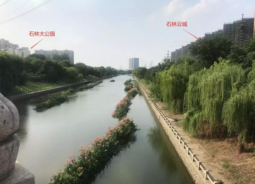 板桥神盘,板桥逸景的房子值得买吗