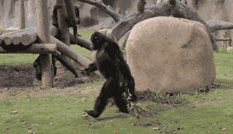几十年前长虱子为啥现在没有了,为什么以前人长虱子现在没有虱子