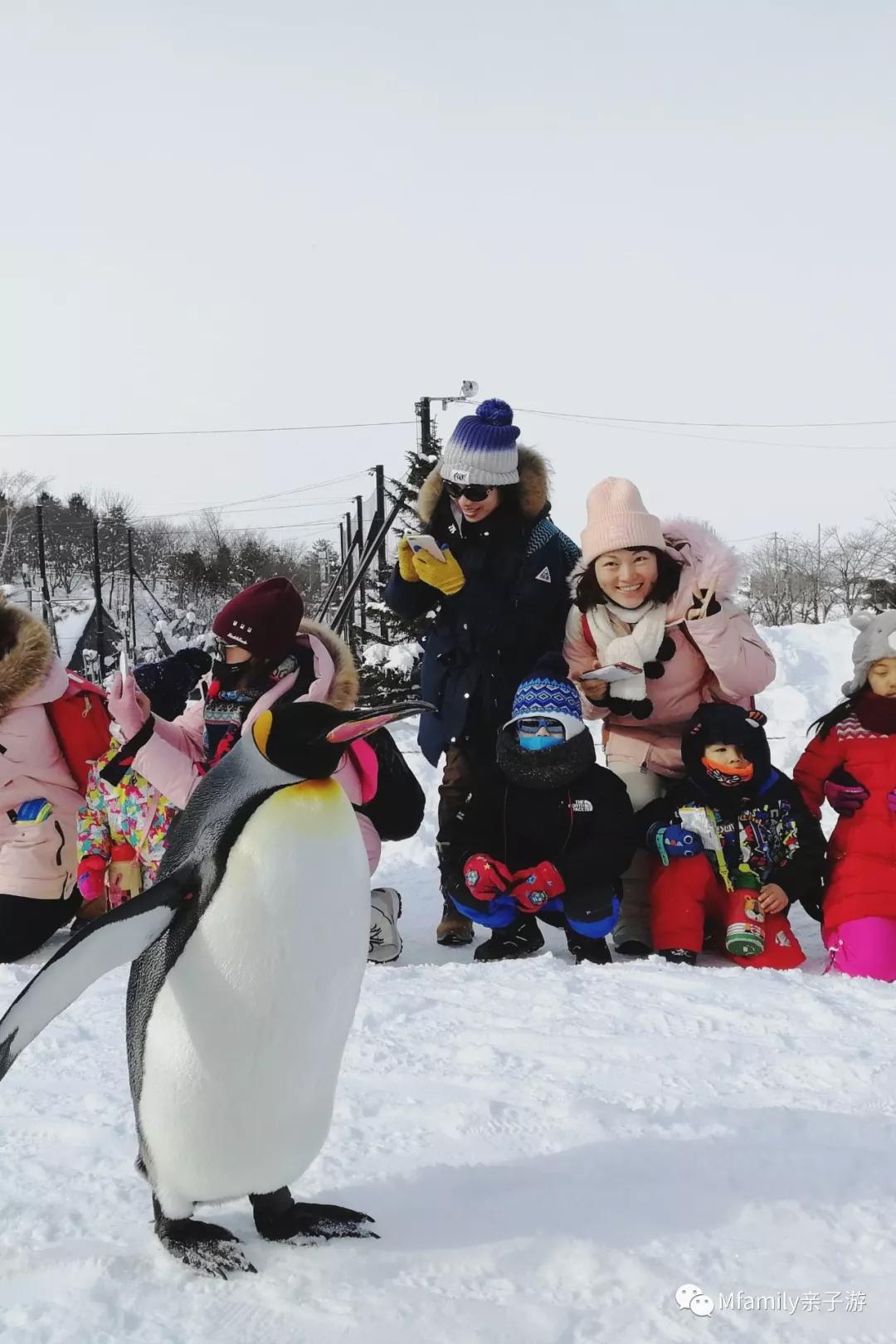 被疫情憋疯小朋友,被疫情憋疯的孩子们