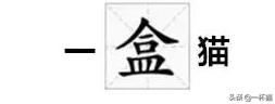 一根猫、一滩猫、一架猫，喵星人逆天姿势大全