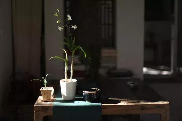 谈中国茶道,对中国茶道的认识