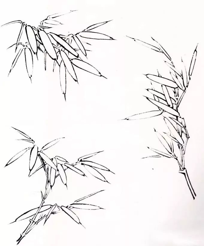 竹子的画法工笔画,竹子画法工笔画