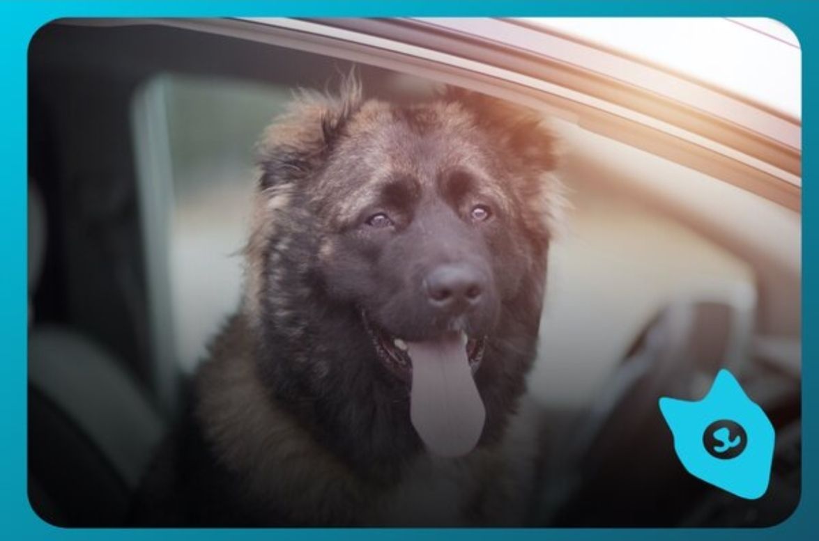 俄罗斯最著名的十大雕塑是,俄罗斯最著名的十大建筑物