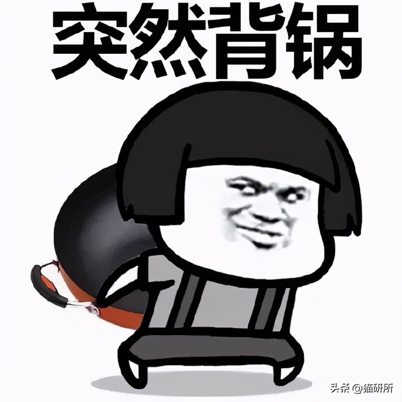 什么精油对猫有危害,猫咪精油有必要用吗