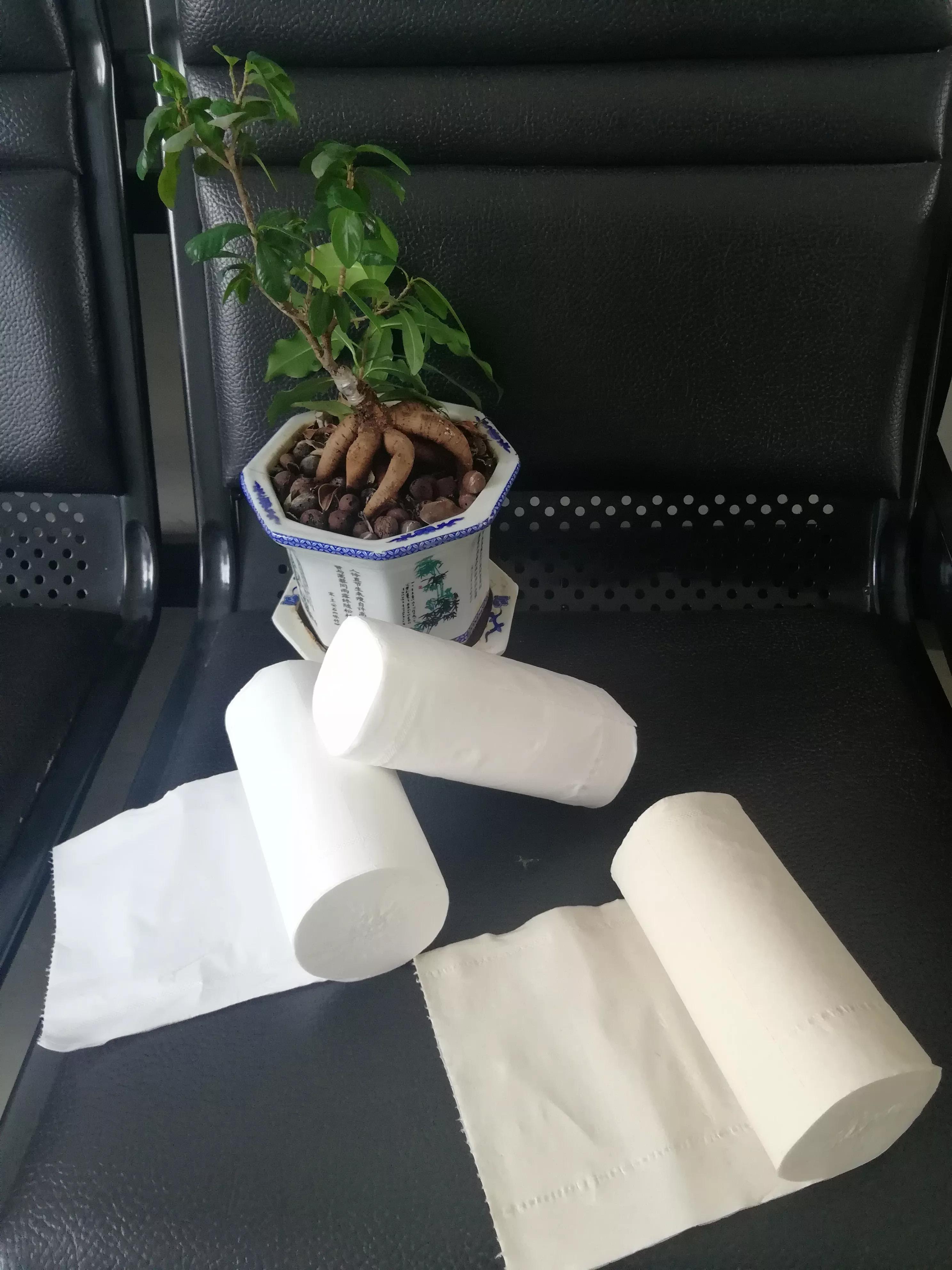 如何鉴别卫生纸的好坏,怎么分辨卫生纸的好坏