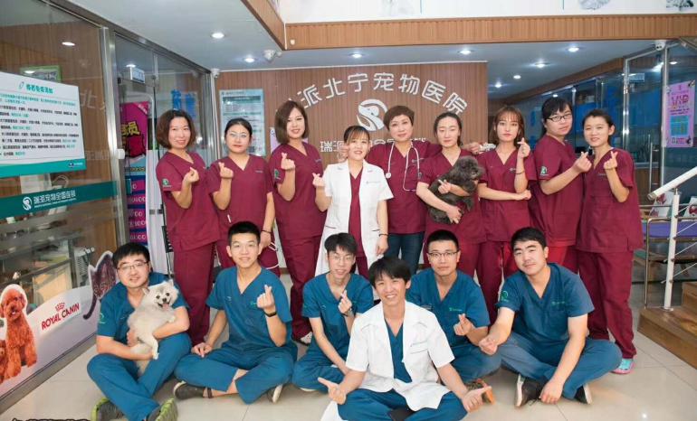 瑞派宠物医院告诉你最牛医院的正确打开方式