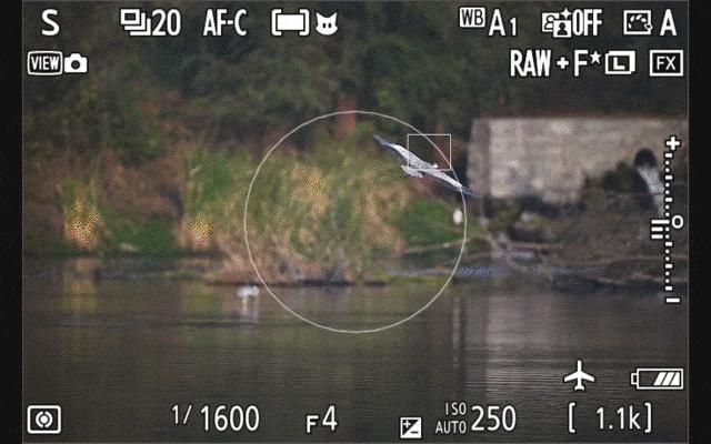 尼康z9旗舰相机详细评测,尼康z9机身的无损变焦功能