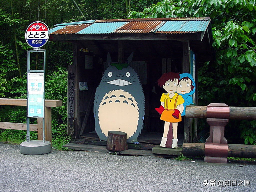 龙猫在日本的什么地方 (萤火之森和龙猫)