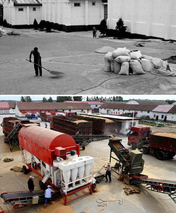 大国粮仓纪录片多长时间,大国粮仓纪录片黄金根