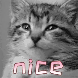 微胖女孩穿v领更显瘦吗,显腰线的白色v领长裙