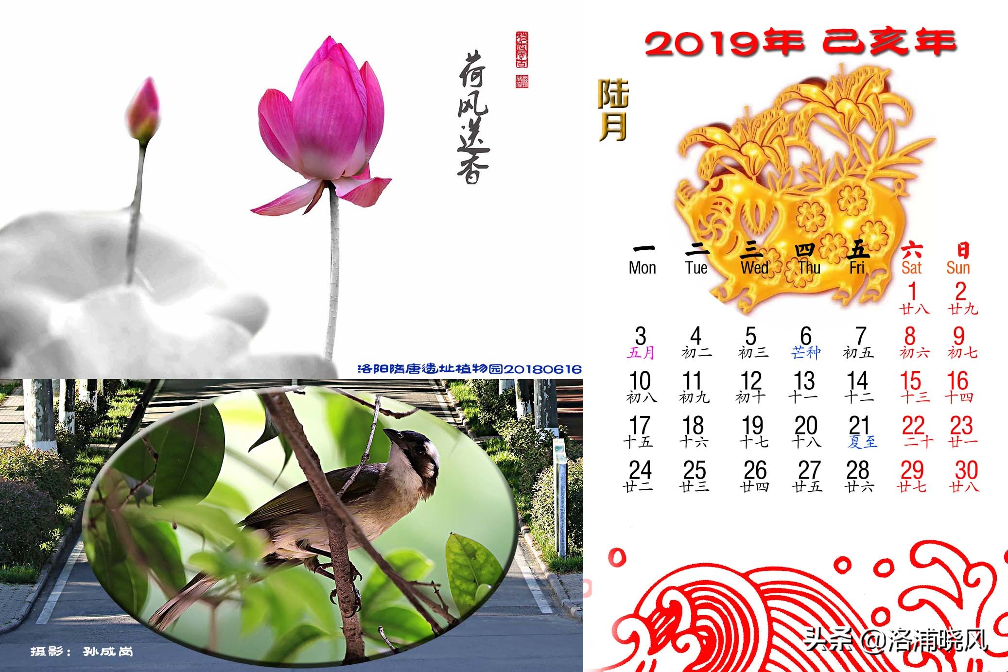 小学生卡纸绘制二十四节气日历,2019年二十四节气时间表图片