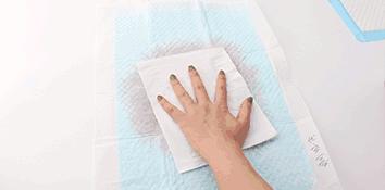 全网销量前三的怡亲、宠宠熊、诺比瑞，被虐成渣渣