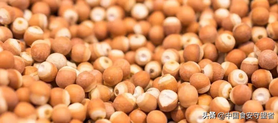 芡实营养价值和功效,芡实果的营养价值