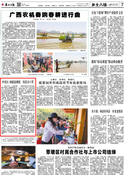 过去的一周你都经历了什么,过去的一年你错过了哪些大瓜