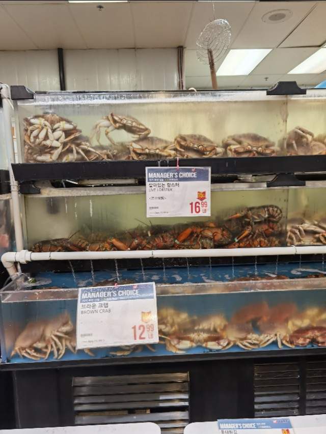 加拿大物价视频,加拿大的物价及消费怎样