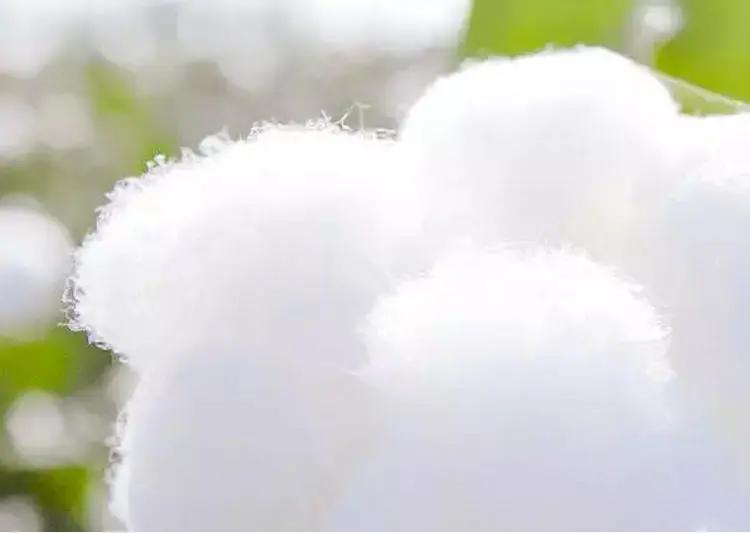 一双袜也能变出惊喜,一双袜子也能变出惊喜