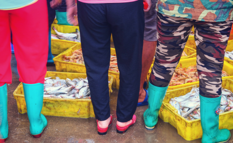 广东湛江旅游攻略美食,湛江旅游海鲜推荐一下